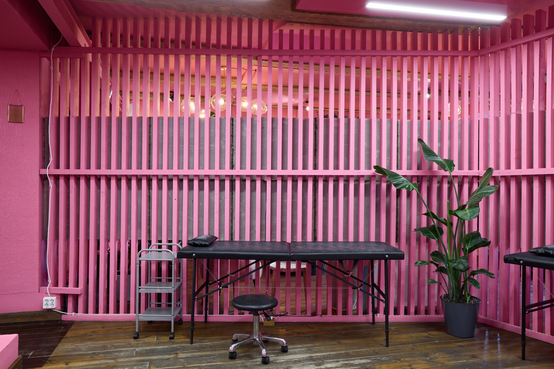 A colorful tattoo studio with vibrant pink walls and plants creates a cozy, artistic space